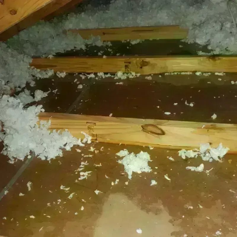 Attic Water Damage in Forest Oaks, NC